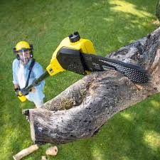 Lawn Watering Services in Keenesburg, CO